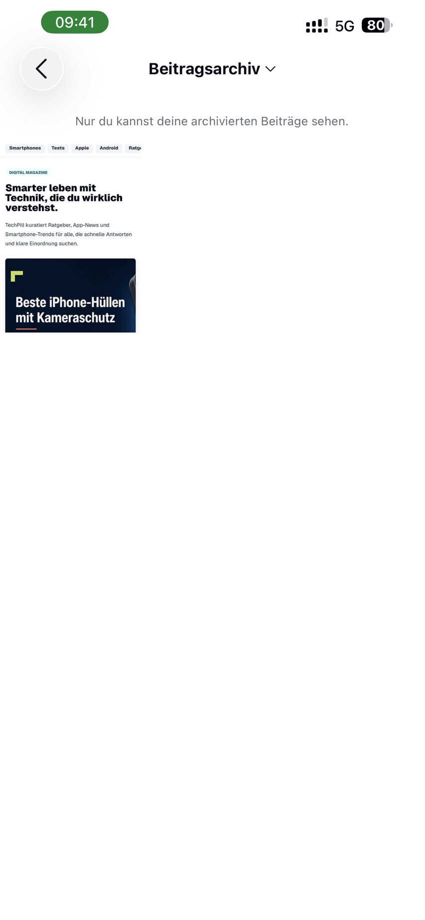 Instagram Beitragsarchiv mit dem Dropdown oben und dem Hinweis Nur du kannst deine archivierten Beiträge sehen