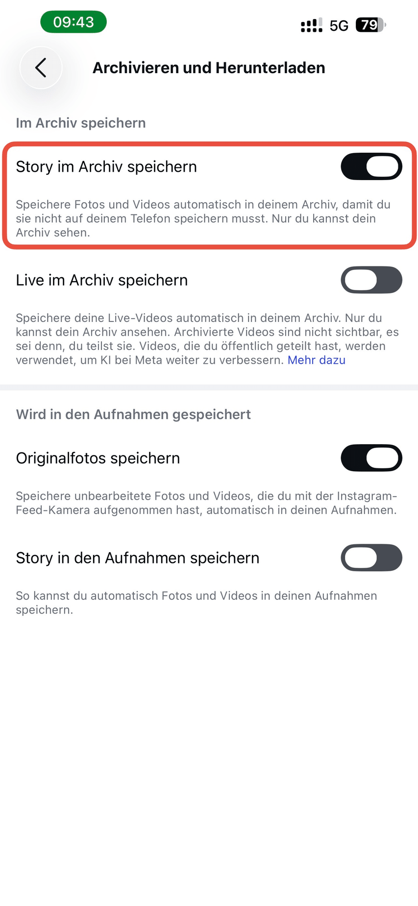 Instagram Einstellung Archivieren und Herunterladen mit aktiviertem Schalter Story im Archiv speichern