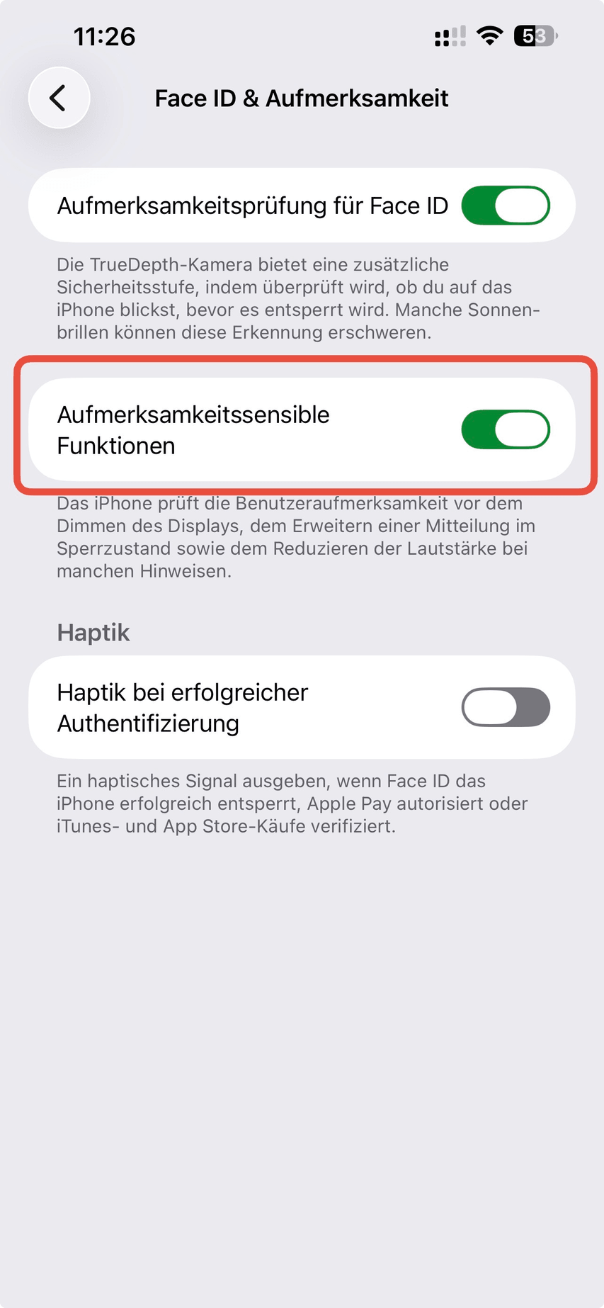 Einstellungen Bedienungshilfen Face ID und Aufmerksamkeit mit dem Schalter Aufmerksamkeitssensible Funktionen